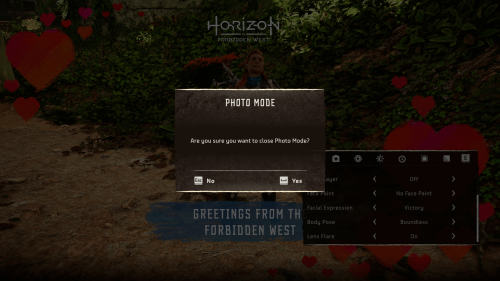 Confirmation screenshot of Horizon Forbidden West video game interface.